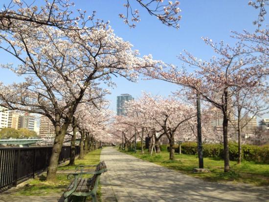 Kema Sakuranomiya-parken